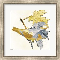 Blue and Gold Bird Fine Art Print