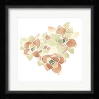Succulent Cameo VII Framed Print
