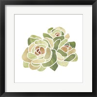Succulent Cameo XV Framed Print
