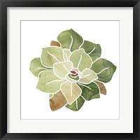 Succulent Cameo XVI Framed Print