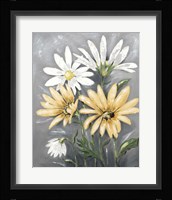 Summer Daisies II Framed Print