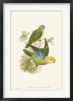 Lime & Cerulean Parrots I Fine Art Print