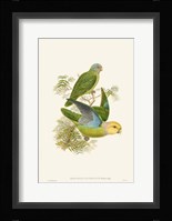 Lime & Cerulean Parrots I Framed Print