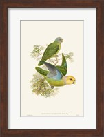 Lime & Cerulean Parrots I Fine Art Print