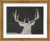 Brow Tine Deer II Fine Art Print