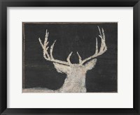Brow Tine Deer II Fine Art Print