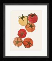 Organic Veg IV Fine Art Print