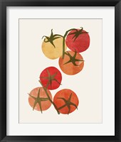 Organic Veg IV Framed Print