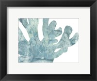 Blue Macro Coral I Fine Art Print
