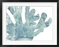 Blue Macro Coral I Fine Art Print