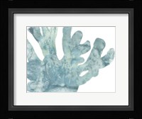 Blue Macro Coral I Framed Print