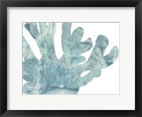 Blue Macro Coral I Framed Print