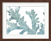 Blue Macro Coral II Fine Art Print