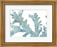 Blue Macro Coral II Fine Art Print