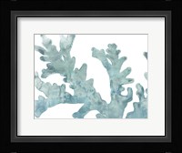 Blue Macro Coral II Framed Print