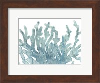 Blue Macro Coral III Fine Art Print