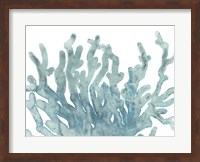 Blue Macro Coral III Fine Art Print