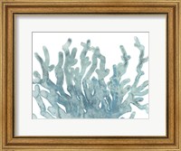 Blue Macro Coral III Fine Art Print