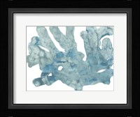 Blue Macro Coral IV Framed Print