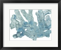 Blue Macro Coral IV Framed Print