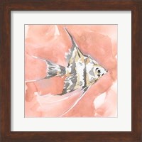 Blush and Ochre Angel Fish I Fine Art Print