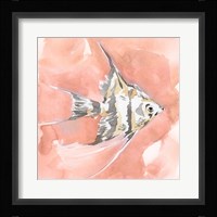 Blush and Ochre Angel Fish I Fine Art Print