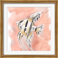 Blush and Ochre Angel Fish II Fine Art Print