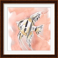 Blush and Ochre Angel Fish II Fine Art Print