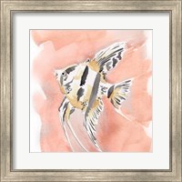 Blush and Ochre Angel Fish II Fine Art Print