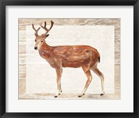 Rustic Barnwood Animals IV Framed Print