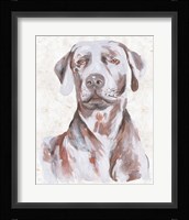 Sitting Dog I Framed Print