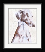 Sitting Dog II Fine Art Print