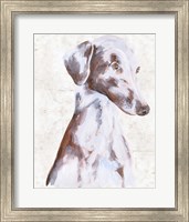 Sitting Dog II Fine Art Print