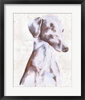 Sitting Dog II Fine Art Print