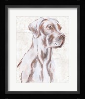 Sitting Dog IV Framed Print