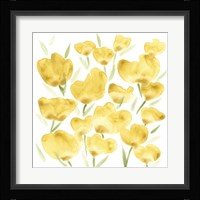 Sunny Meadow II Framed Print