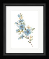 Wildflower Sprig I Framed Print