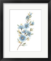 Wildflower Sprig II Framed Print