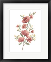 Wildflower Sprig III Framed Print