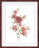 Wildflower Sprig IV Fine Art Print