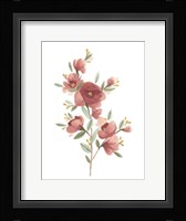 Wildflower Sprig IV Framed Print
