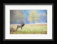 View At Rest IV Fine Art Print