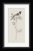 Nature with Bird I Framed Print