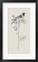 Nature with Bird I Framed Print