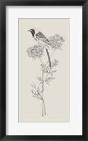 Nature with Bird II Framed Print