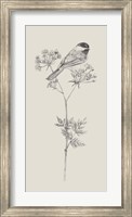 Nature with Bird III Fine Art Print