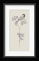 Nature with Bird III Framed Print