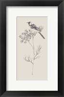 Nature with Bird IV Fine Art Print