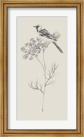 Nature with Bird IV Fine Art Print