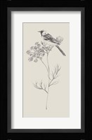 Nature with Bird IV Framed Print